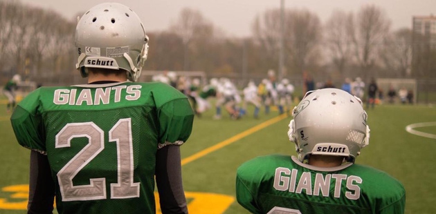 Big giants team how a team works